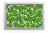 Кошница Steam&Fry 600х400 мм за пържене и готвене на пара, неръждаема 